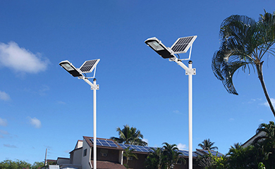 Solar Lighting & Monitoring System